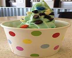 frozen-yogurt-inspirations-food-photo1